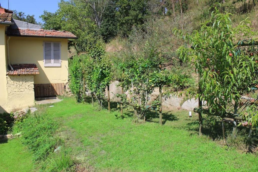 Casa Barulli - Tuscany San Giovanni Valdarno Luaran gambar